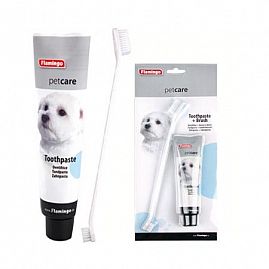 DENTIFRICE + BROSSE A DENTS  au rayon Chats, Cosmétique - Soins & Antiparasitaire