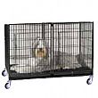 WAITING CAGE Haut 82cm