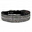 COLLIE PASSION PERLES & STRASS