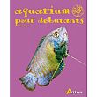 Aquarium pour débutant