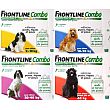 FRONTLINE COMBO CHIEN