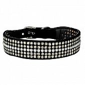 COLLIE PASSION PERLES & STRASS 