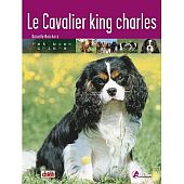 Le Cavalier king charles