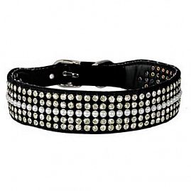 COLLIE PASSION PERLES & STRASS  au rayon Chiens, Sellerie - Strass