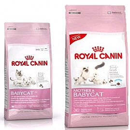 Royal Canin Chaton BABYCAT 34 au rayon Chats, Alimentation - Chaton