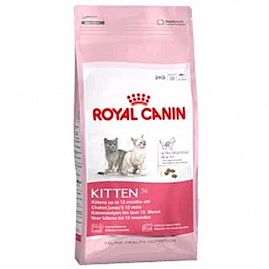 Royal Canin Chaton KITTEN 36 au rayon Chats, Alimentation - Chaton